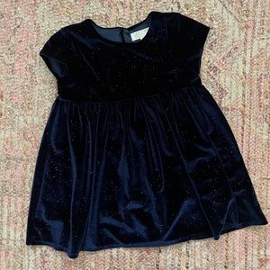 ZARA sparkly velvet dress